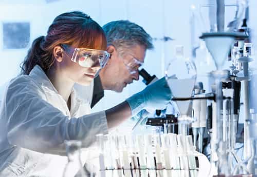 life sciences professionals in a lab space research cellular anatomy